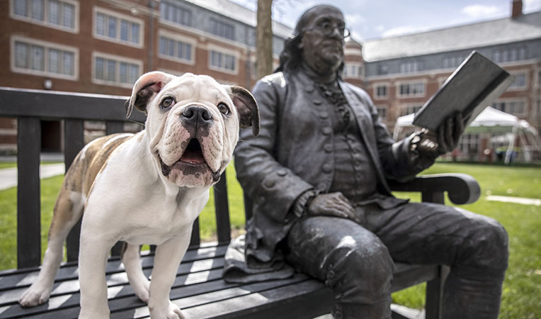 Image of Handsome Dan on bench.